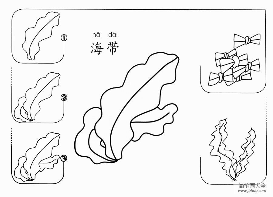 海带怎么画