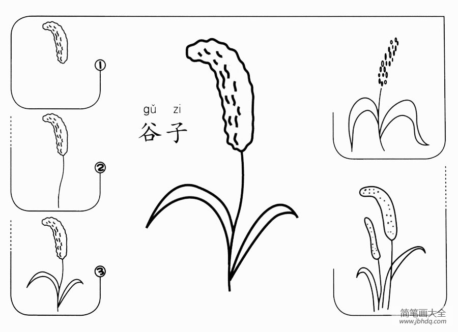 谷子怎么画