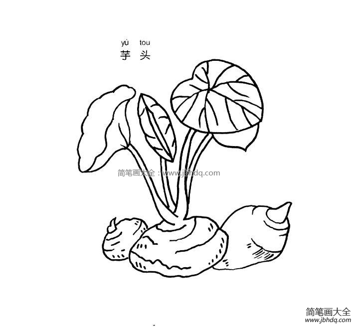 芋头简笔画