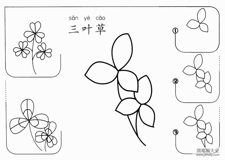 三叶草怎么画
