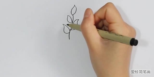 茶树简笔画