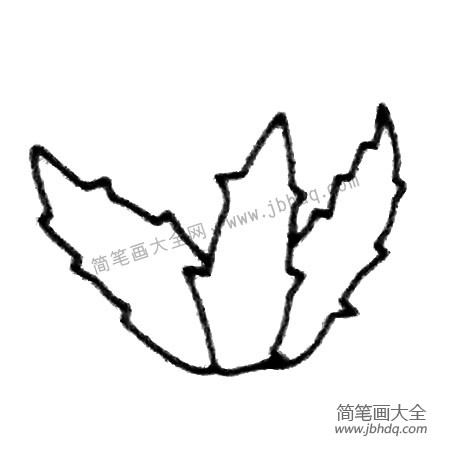 芦荟简笔画大全及画法步骤