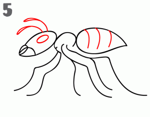 蚂蚁简笔画