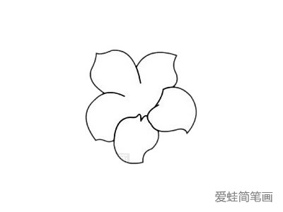 杜鹃花简笔画