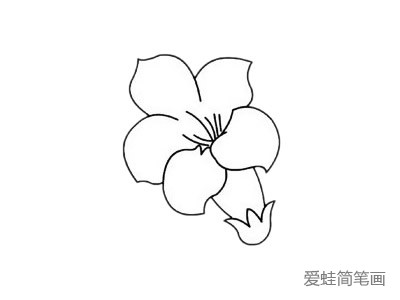 杜鹃花简笔画