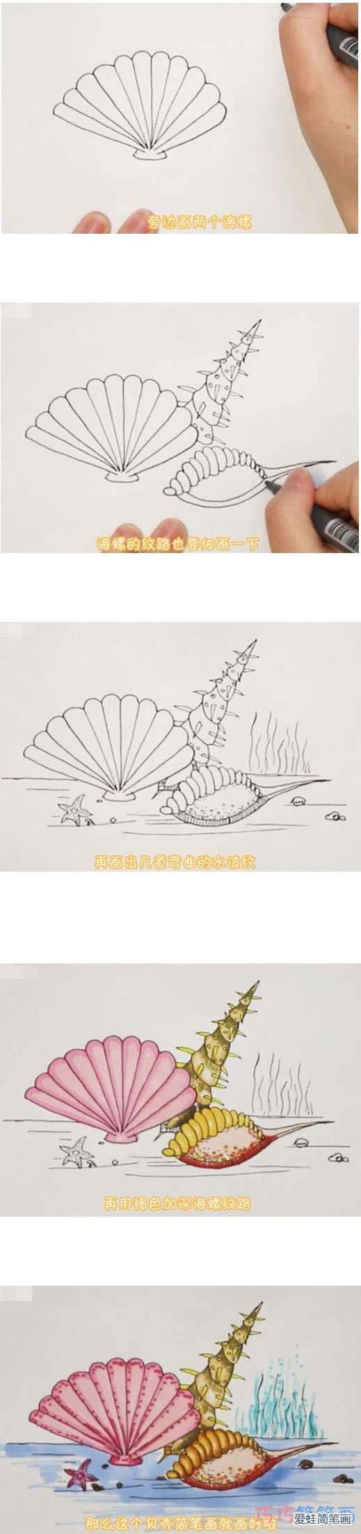 海洋贝壳手绘怎么画