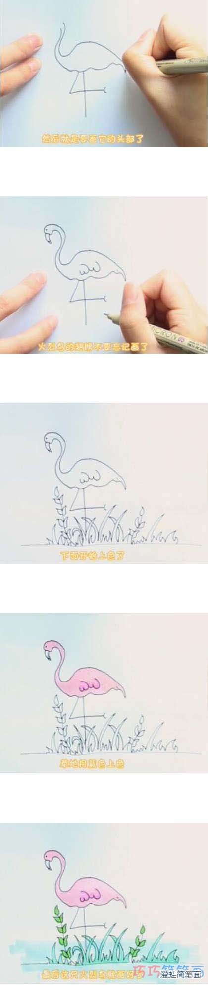 教你怎么画火烈鸟简笔画