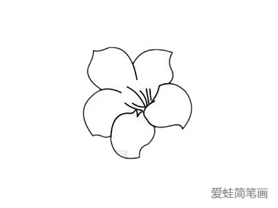 杜鹃花简笔画