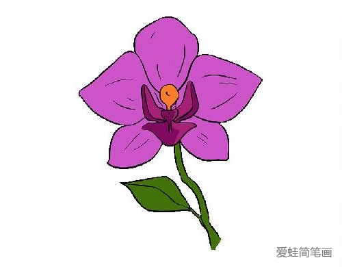 一朵兰花简笔画