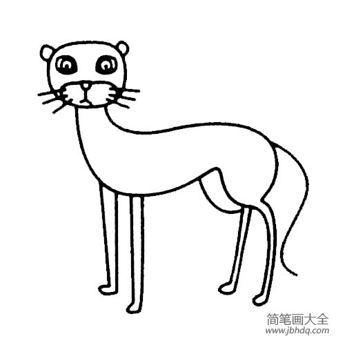 猎豹简笔画实例及步骤