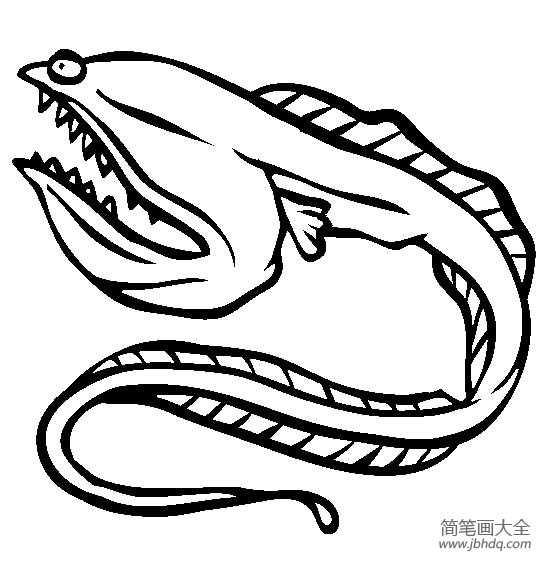 海洋生物图片 吞噬鳗简笔画图片