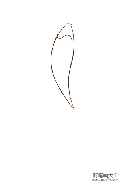 锦鲤的简笔画画法