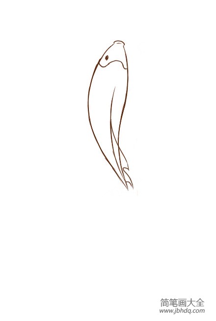 锦鲤的简笔画画法