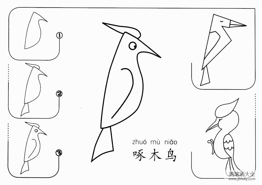 啄木鸟怎么画