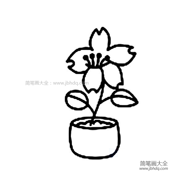 一组简单的盆栽小花简笔画