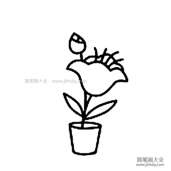 好看的小花盆简笔画