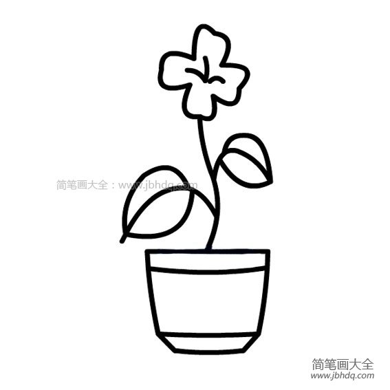 一组简单的盆栽小花简笔画