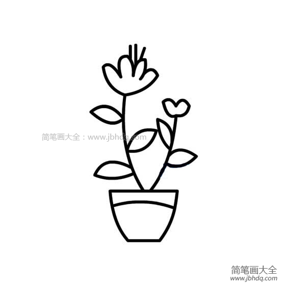 花盆里的花朵简笔画