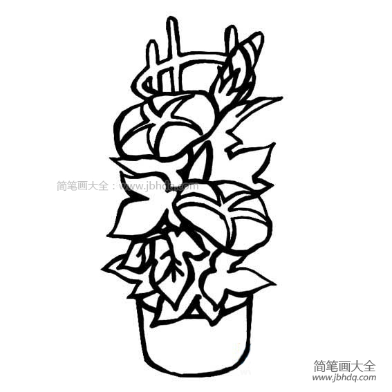 漂亮的盆栽简笔画