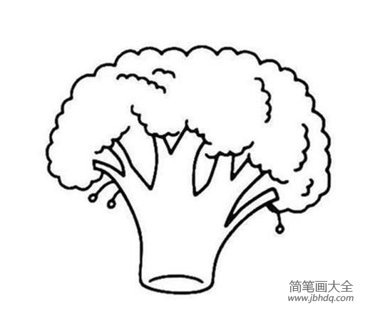 西兰花花菜简笔画