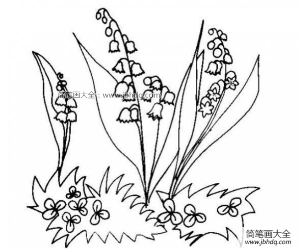 铃兰花简笔画