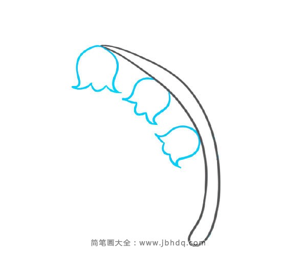 2.画上3多漂亮的铃兰花