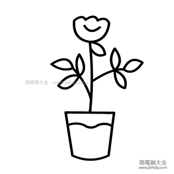 一组简单的盆栽小花简笔画