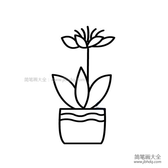 好看的小花盆简笔画