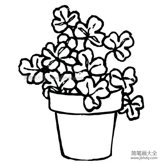 盆里的小花简笔画