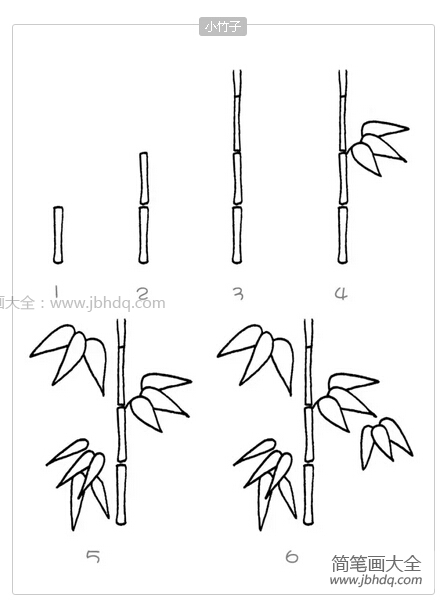小竹子简笔画教程