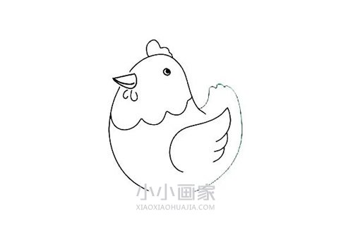 彩色胖母鸡简笔画画法图片步骤