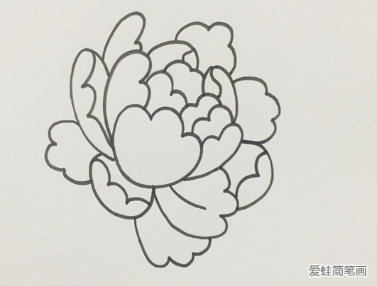 牡丹花简笔画