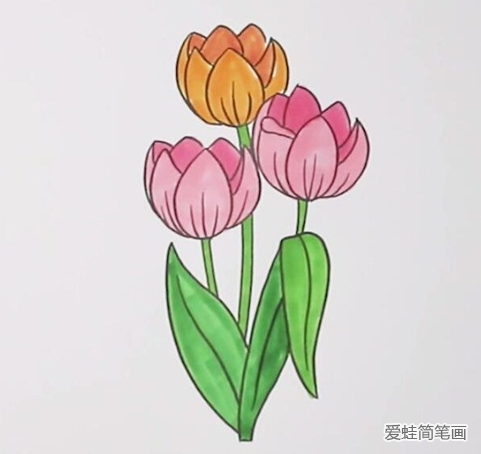 郁金香简笔画