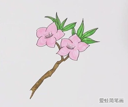 桃花简笔画