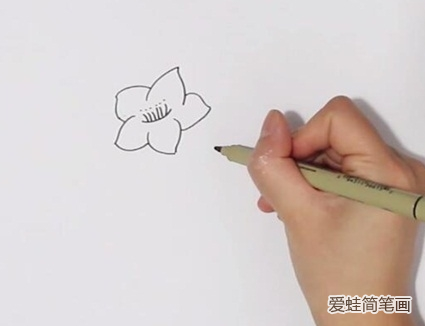 桃花简笔画