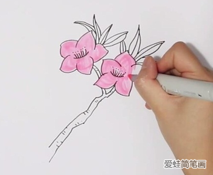 桃花简笔画