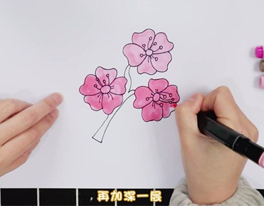 樱花怎么画