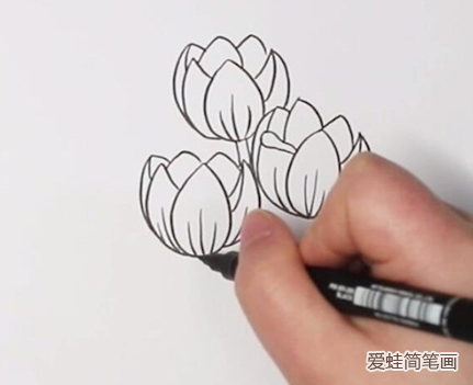 郁金香简笔画