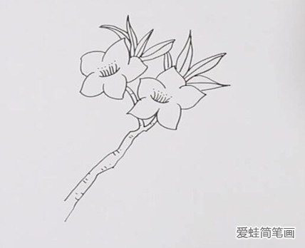 桃花简笔画