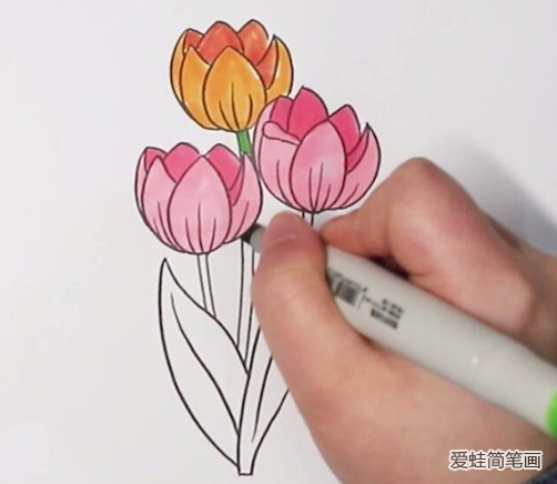 郁金香简笔画