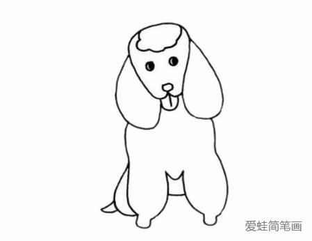 贵宾犬简笔画