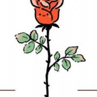 女王节送花这四种都是不错：玫瑰花简笔画