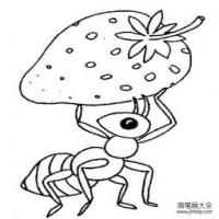 蚂蚁搬食物简笔画
